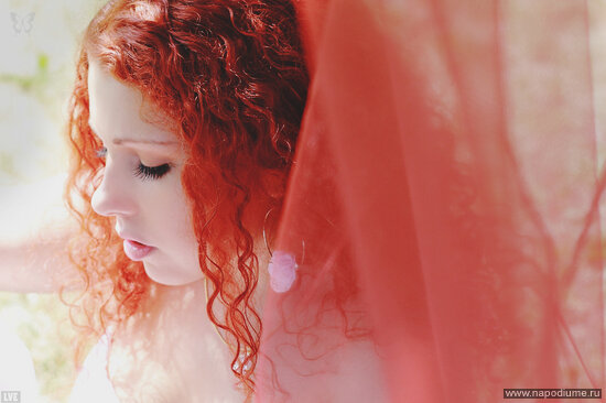 Vladimir Luzin's photo