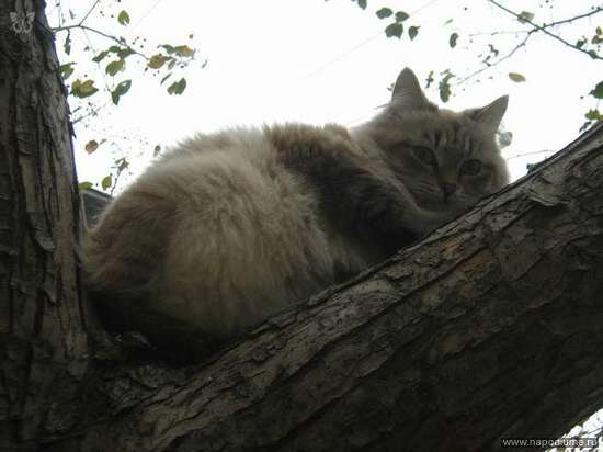 Feliks Smirnov's photo