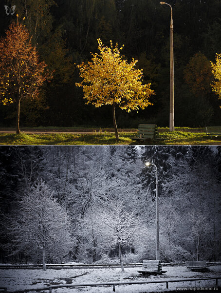 Фото Misha smisha Shipilov