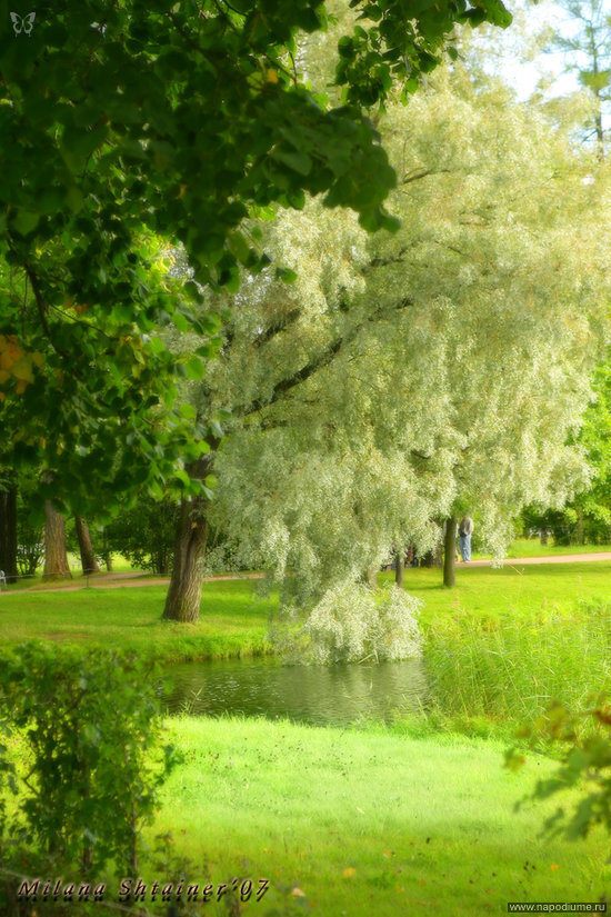 Anna Leontieva's photo