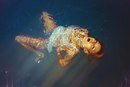 Anna Barendregt's photo
