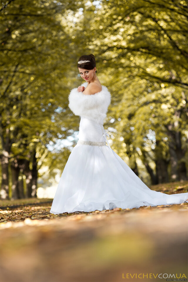 Dmitry Levichev's photo