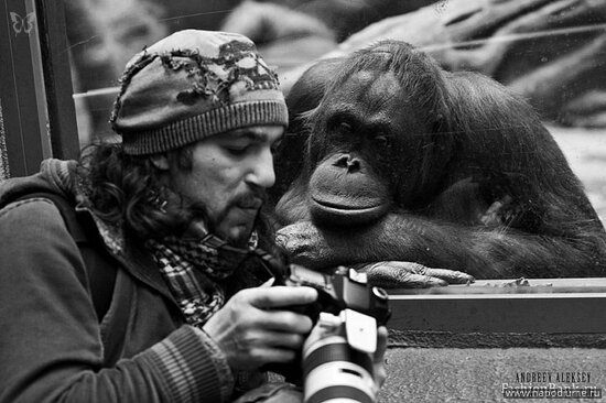 Aleksej Andreev's photo