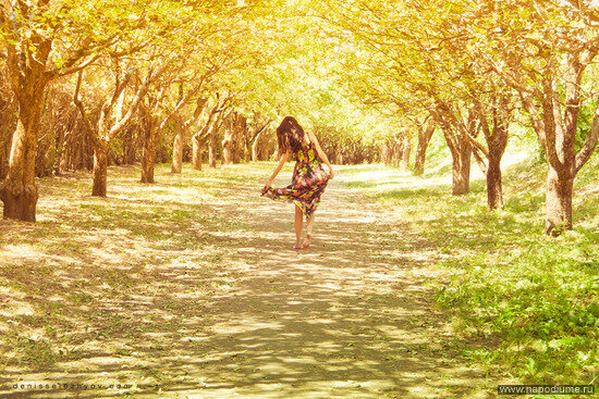 Denis Seleznyov's photo