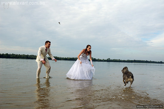 Фото Александр Андрющенко