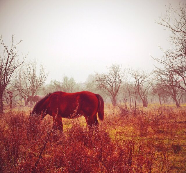 V R's photo