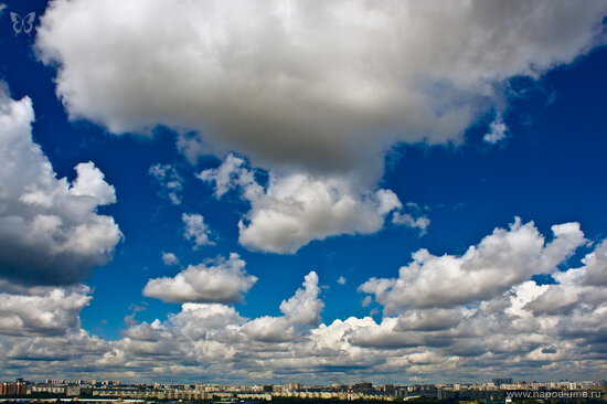 Roman Kulikov's photo