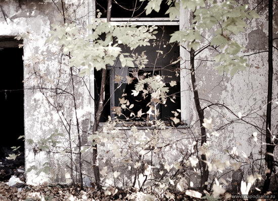 Фото Misha smisha Shipilov