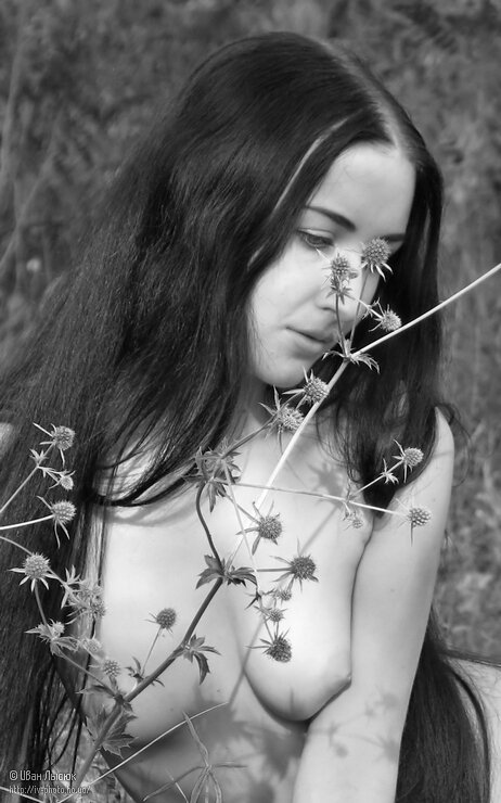 Фото Anastasya Shipina