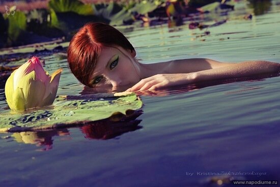 Фото Алла Назаренко