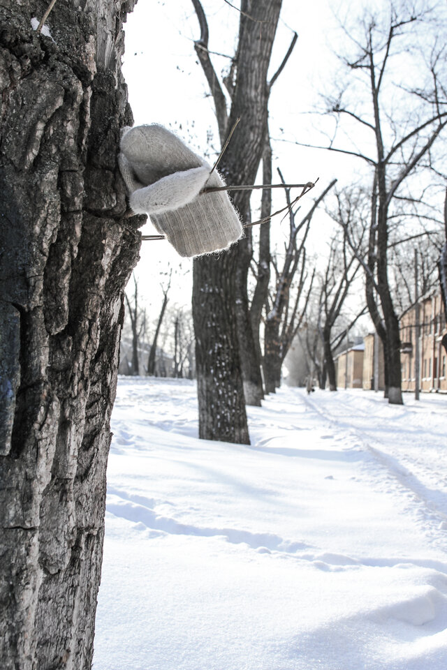 Фото Сергей Darsik Резников