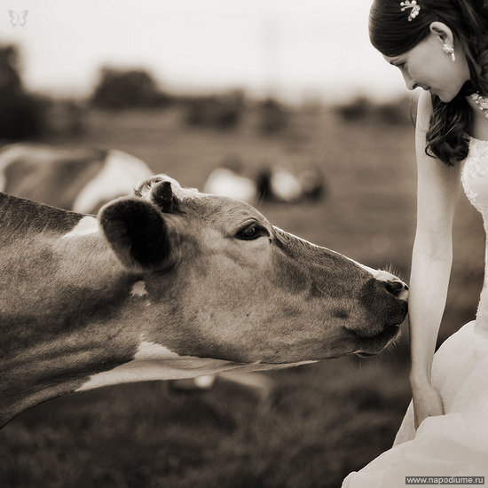 Aleksei Kozlov's photo