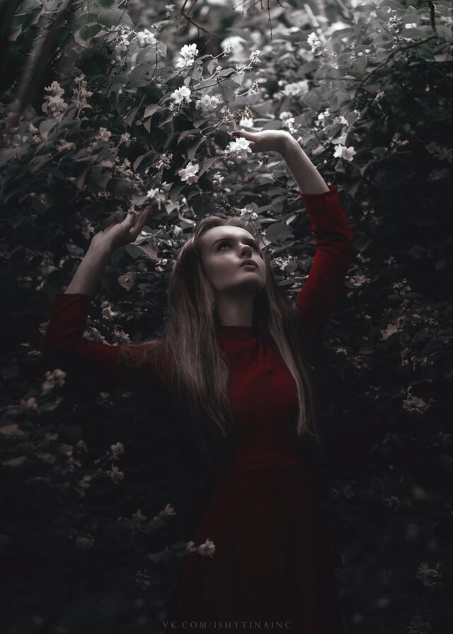 Ekaterina Novikova's photo
