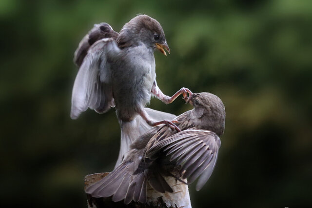 dmitrij mitin's photo