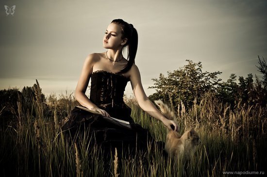 Tesh Photograph's photo