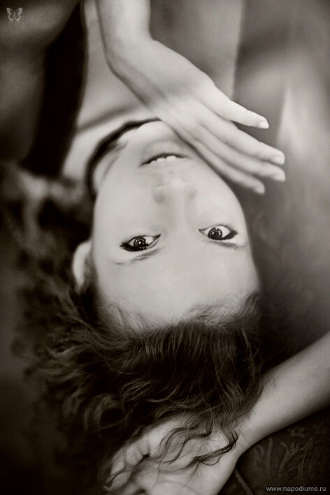 Ola Lola's photo