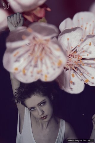Фото You model  management