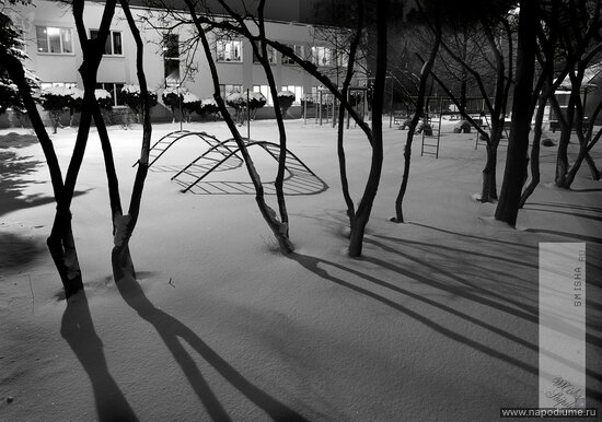Фото Misha smisha Shipilov