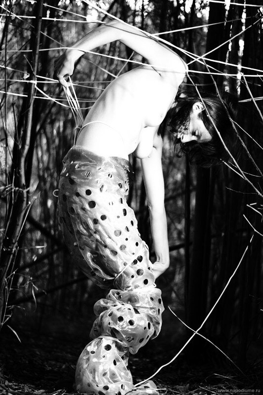 Joe Mota's photo