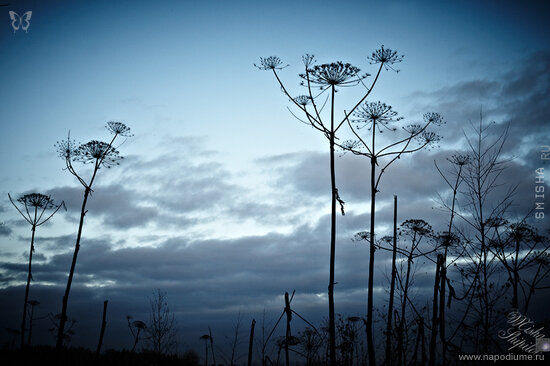 Фото Misha Shipilov