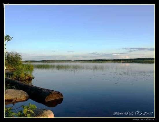 Sergej Fedotov's photo