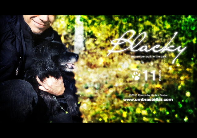 Blacky & Umbra, 2015