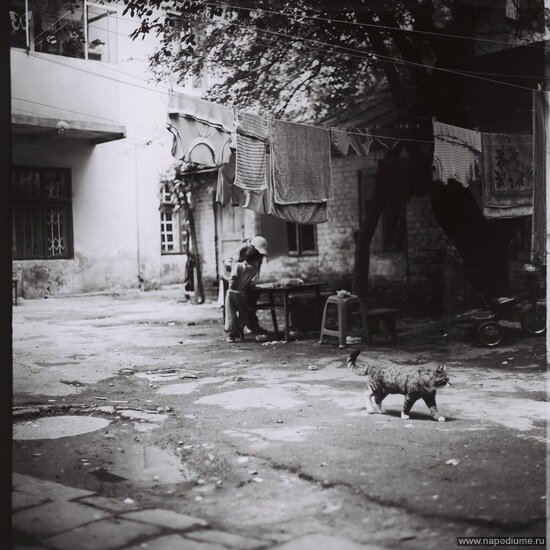 Evgen Kukulka's photo