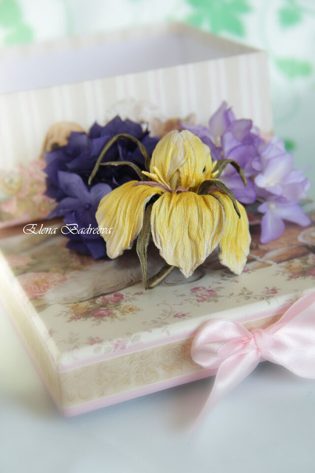Elena Badreeva's photo