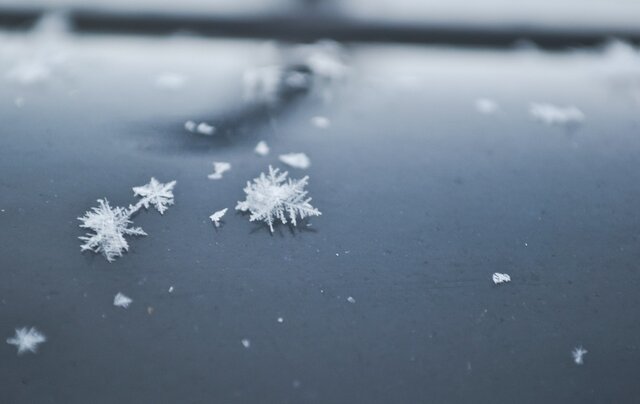 Эго's photo