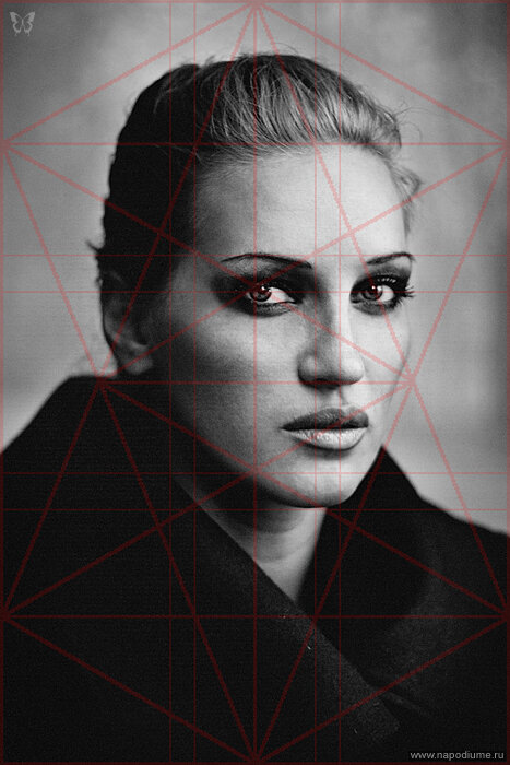 Dmitry Alekseyev's photo