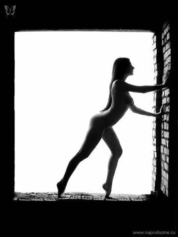 Tanya Tess's photo