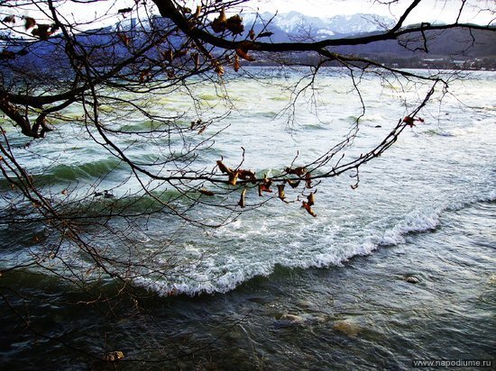 Nature