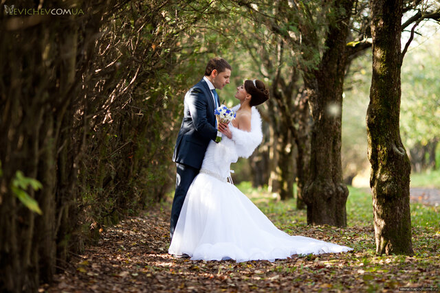 Dmitry Levichev's photo
