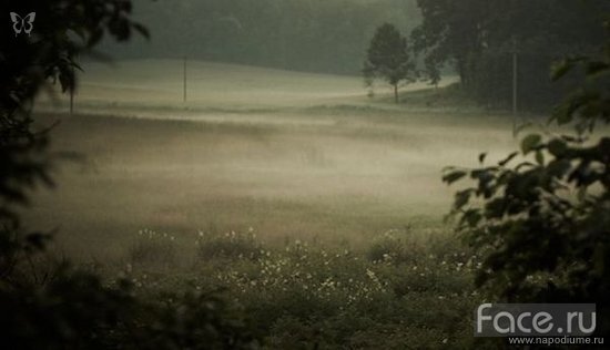 Фото Андрей Николаев