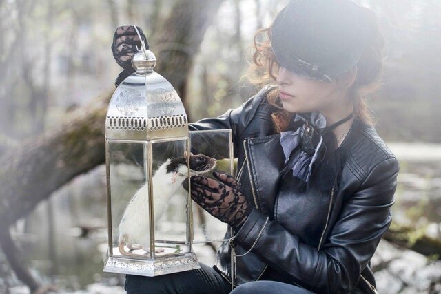 Sveta Sockova's photo