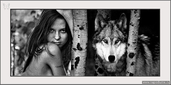 Foto Nika Bereznaa