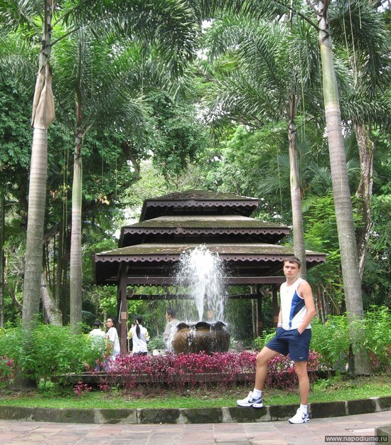 Slava Tarasenko's photo