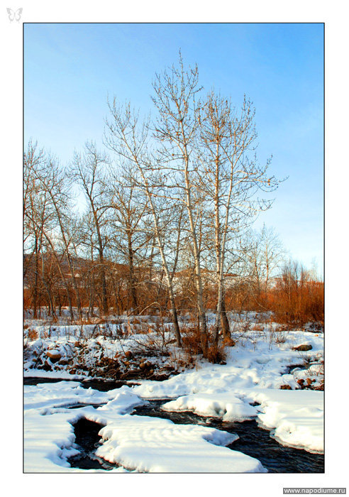 Фото Konstantin Shavrin