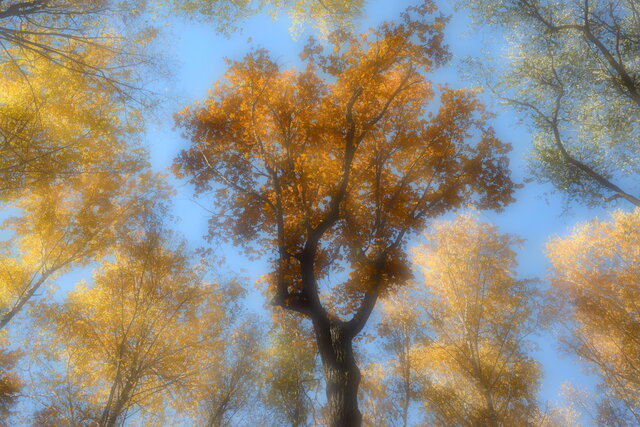 Ksenia Kyznetsova's photo