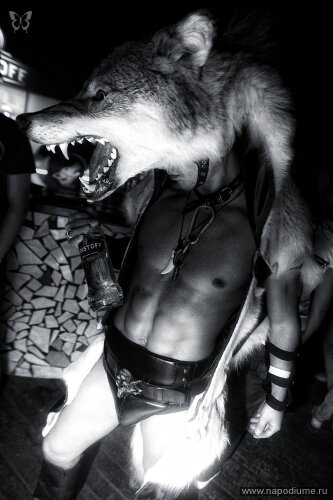 Timur Ahrarov's photo