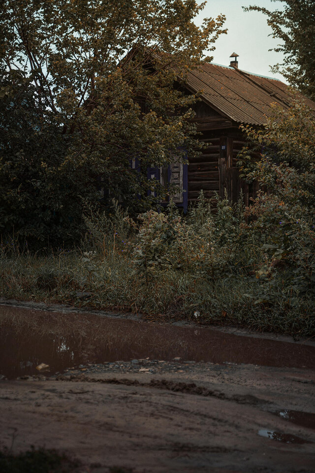 Vladislav Zabolotnykh's photo