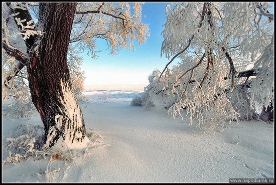 Подмосковье