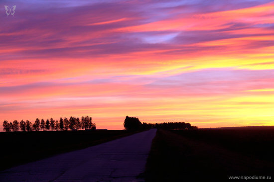 Sergej Kodr's photo