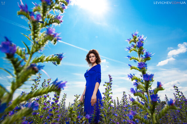 Dmitry Levichev's photo