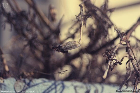 Vesna Vesna's photo