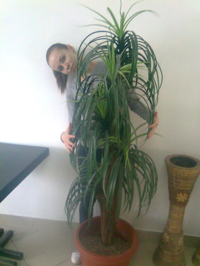 Фото Alena pain Zueva