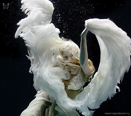Фото Vitaliy Polansky