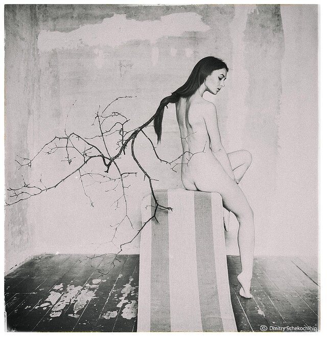 Foto Dmitry Schekochihin