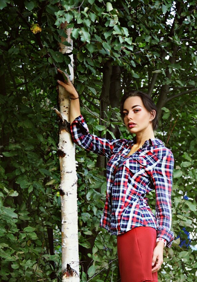 People in nature, Tree, Woody plant, Plant, Canoe birch, Birch, Plaid, Pattern, Birch family, Tartan