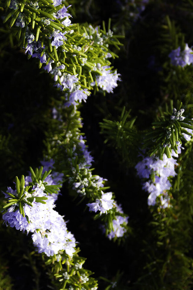 Sergej Kovalenko's photo